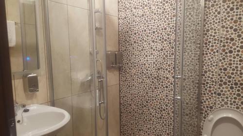 a bathroom with a shower and a sink and a toilet at Villa Malezan in Ohrid