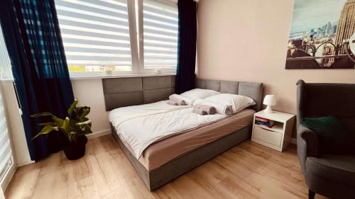 a bedroom with a bed with two dogs on it at Green Stone Apartment in Bydgoszcz