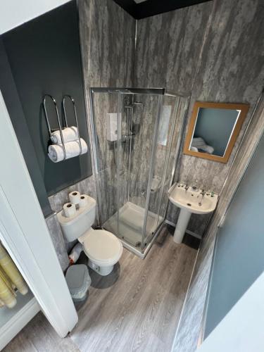 La salle de bains est pourvue d'une douche, de toilettes et d'un lavabo. dans l'établissement dalesman hotel, à Darlington