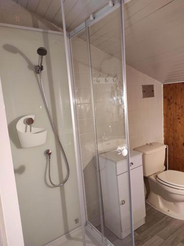 Een badkamer bij Gîte La Roche