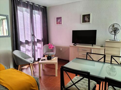 Televízia a/alebo spoločenská miestnosť v ubytovaní Studio Gréoux les Bains