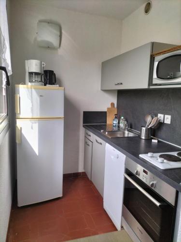 La cuisine est équipée d'un réfrigérateur blanc et d'un four micro-ondes. dans l'établissement Studio Gréoux les Bains, à Gréoux-les-Bains