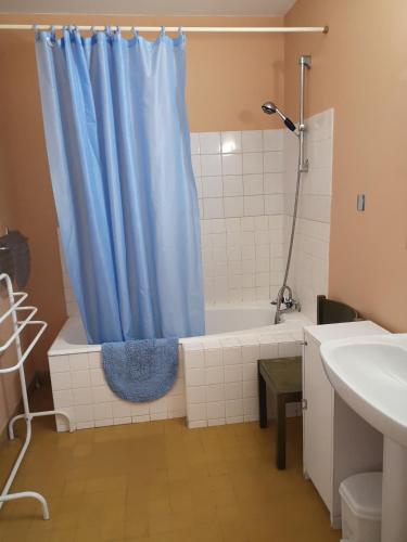 La salle de bains est pourvue d'un rideau de douche bleu et d'une baignoire. dans l'établissement Maison de L`Etang, à Troniçais