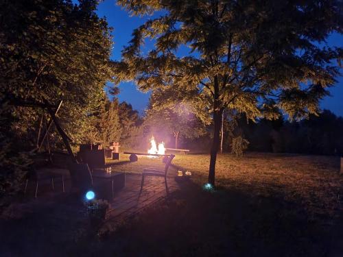 Taman di luar Dom wypoczynkowy Radomno