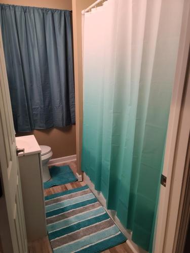 a bathroom with a shower curtain and a toilet at JAMMS tiny home in Baton Rouge
