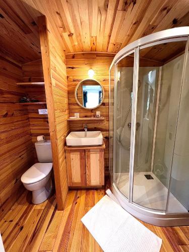 une salle de bain avec une douche, des toilettes et un lavabo dans l'établissement La Magnanerie d'Hôtes ,le jardin secret, à Sauve