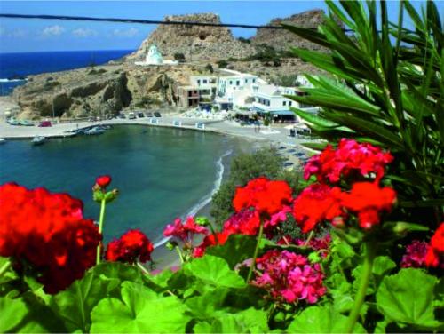 a view of a beach with red flowers at Arhontiko Hotel in Foinikion