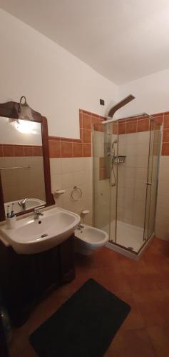 a bathroom with a sink and a shower with a mirror at Halcyon Residence in Santa Maria