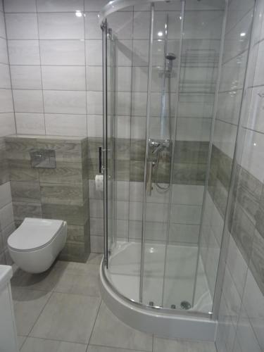 La salle de bains est pourvue d'une douche et de toilettes. dans l'établissement Siedlisko ZA LASEM, à Majdan Wielki