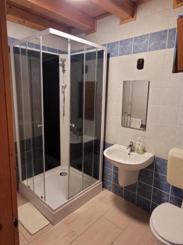 a bathroom with a shower and a sink at Mohás Vendégház Kőszeg Mohás út 107 in Kőszeg