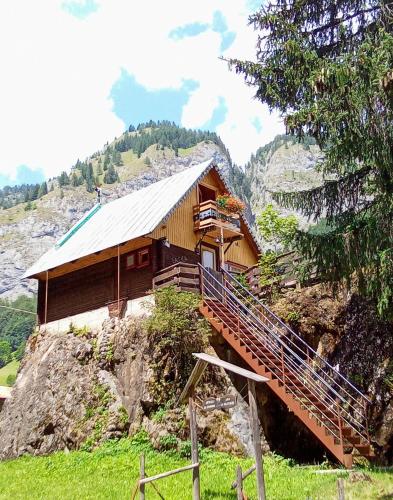 a house on top of a mountain with a staircase at Il nido (Cica) in Sottoguda