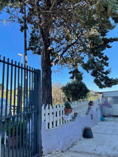 a white picket fence with a tree behind it at Collina di Girgenti in Agrigento