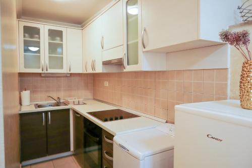 Kuchyň nebo kuchyňský kout v ubytování Apartments Okuka