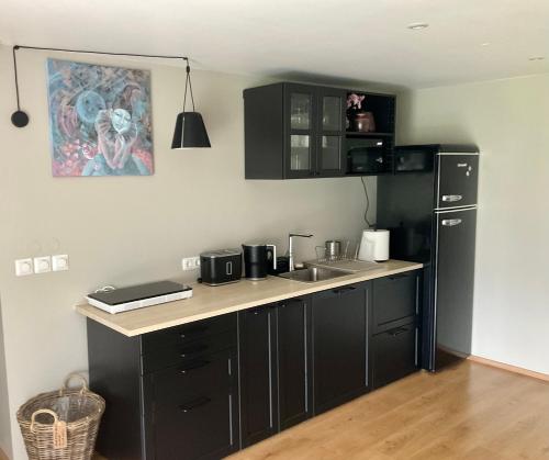 オテパーにあるApartment Meranoのキッチン(黒いキャビネット、シンク、冷蔵庫付)