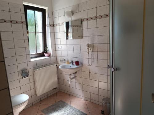 a bathroom with a sink and a toilet at Pension Orbis in Mariánské Lázně