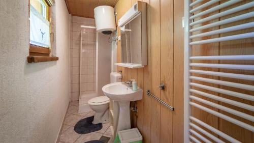 een badkamer met een wastafel, een toilet en een spiegel bij Kuća za odmor ''Julka'' in Plešce
