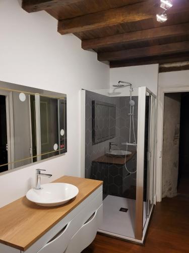 une salle de bain avec un lavabo et une douche dans l'établissement Domaine de Lagrange, à Vianne