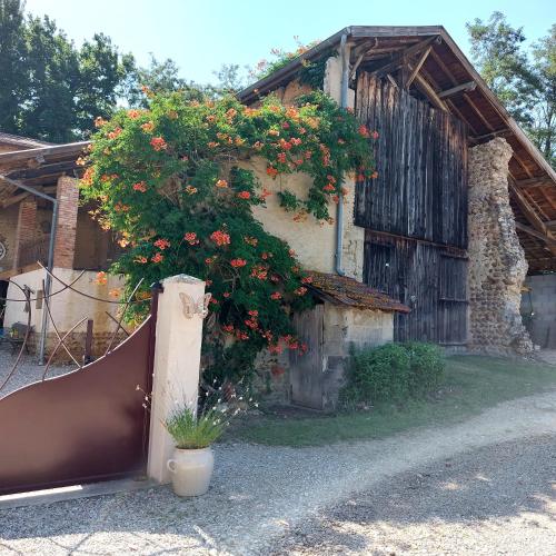 an old building with a plant with orange flowers on it at Le Chant de l'Alyte in Lens-Lestang