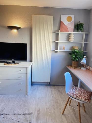 TV a/nebo společenská místnost v ubytování Studio cosy Bourg en bresse