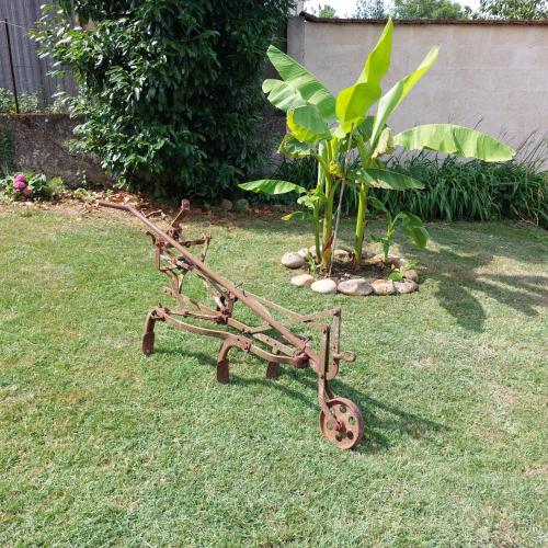 a rusty cart sitting in the grass next to a tree at Le Chant de l'Alyte in Lens-Lestang