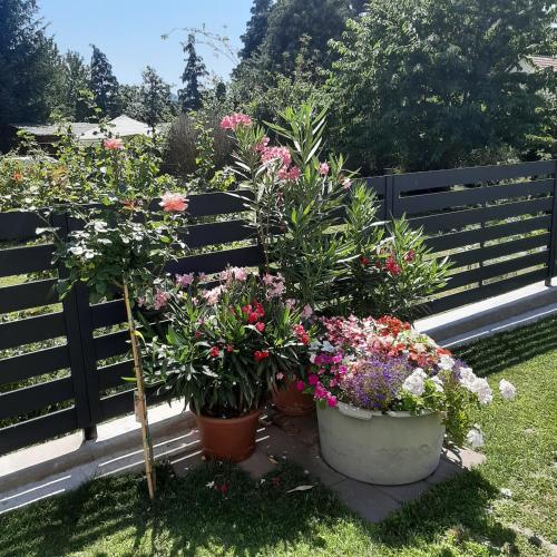 a bunch of flowers in pots next to a fence at Rózsa Vendégház in Visegrád