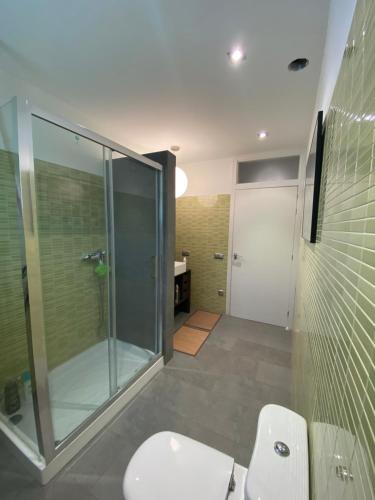 uma casa de banho com uma cabina de duche em vidro e um WC. em Loft Bardenas ECO RR46 em Ribaforada