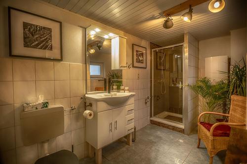 a bathroom with a sink and a shower at Hus Tidevann in Tönning