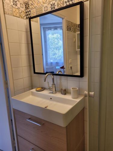 une salle de bain avec un lavabo et un miroir dans l'établissement Studio Buffon, à Avignon