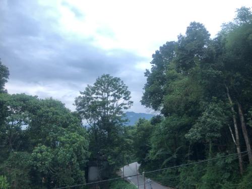 ホームステイの近くで見られる自然の景観