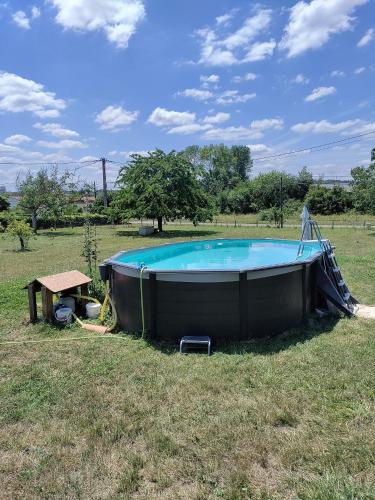 a swimming pool in a field with a table and a bench at Chez Chapelle in the heart of the Gascony with pool, pets welcome! in Auch