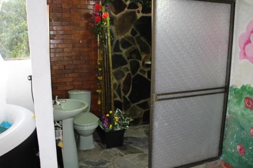 a bathroom with a toilet and a sink at el paraíso de Butulú 1 in La Vega