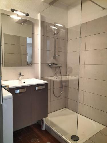 une salle de bain avec douche et lavabo dans l'établissement Studio Gréoux les Bains, à Gréoux-les-Bains