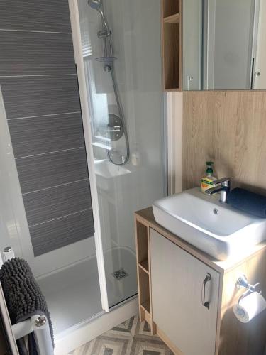 a bathroom with a sink and a shower at Feorag Lodge in Aviemore