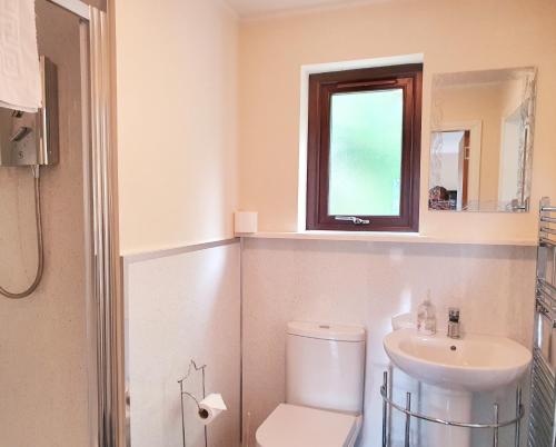 een badkamer met een toilet, een wastafel en een raam bij Upper Rosemount Lodge in Blairgowrie