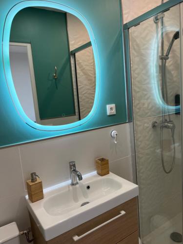 een badkamer met een wastafel en een spiegel bij La vertindus - Centre ville in Honfleur