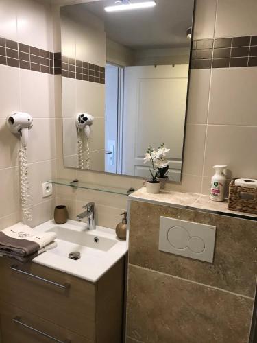 une salle de bain avec un lavabo et un miroir dans l'établissement Côte d'Azur joli studio 50m plage, climatisation , parking., à Villeneuve-Loubet