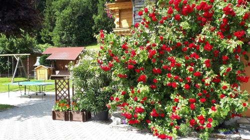 a bush of red flowers in front of a house at Apartment Haus Dengg in Mauterndorf