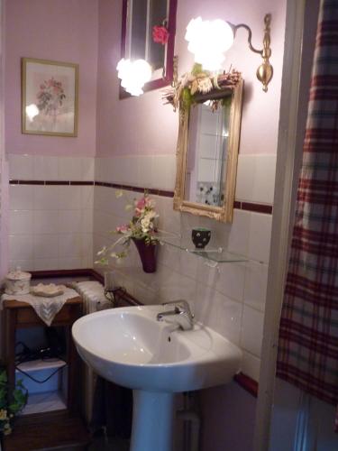 une salle de bain avec un lavabo et un miroir dans l'établissement La Maison de Claire, à Val Couesnon