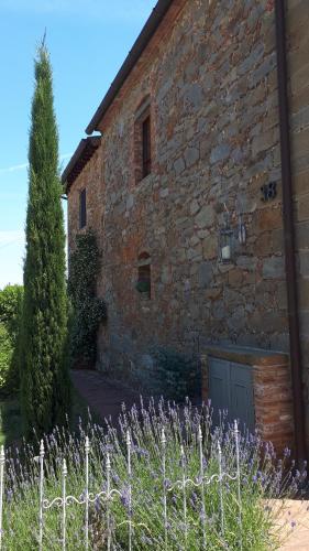 an old stone building with a door and a tree at Podere Pievina Delle Corti - Dimora di Campagna in Sinalunga