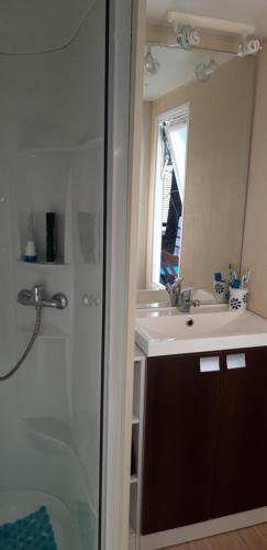 une salle de bain avec une douche, un lavabo et un miroir dans l'établissement Mobil Home Lacanau Océan, à Lacanau