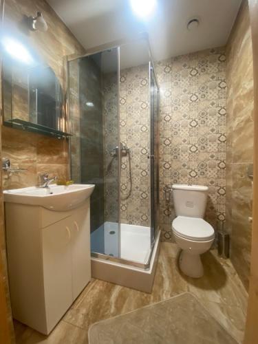 La salle de bains est pourvue de toilettes, d'une douche et d'un lavabo. dans l'établissement Góralskie Pokoje, à Witów