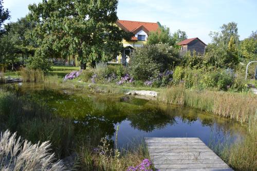 a pond in a garden with a house in the background at BurgenLandhaus in Gols