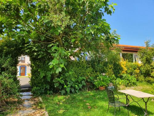 a table and chairs in a yard with a tree at Posada La Merced in Loredo
