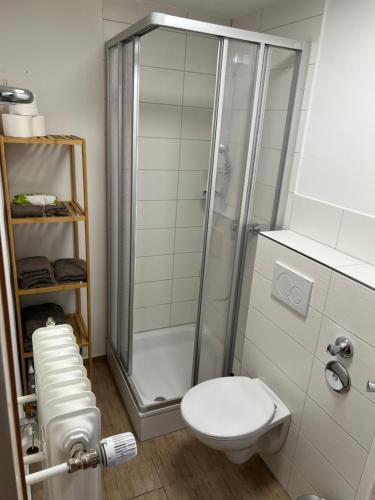 a bathroom with a toilet and a shower at Apartment Malerkarle zentral in Sankt Peter