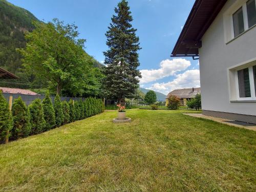 un patio con un árbol al lado de una casa en Haus Paula, en Mallnitz