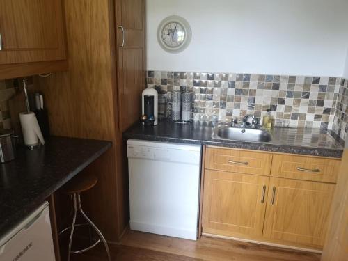 a small kitchen with a sink and a dishwasher at Catstone Lodge in Ballymore