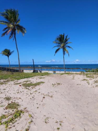 two palm trees on a sandy beach near the ocean at Casa Arembepe em frente as piscinas naturais in Arembepe