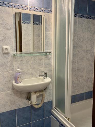 a bathroom with a sink and a shower at Alba Apartmany Železná Ruda in Železná Ruda