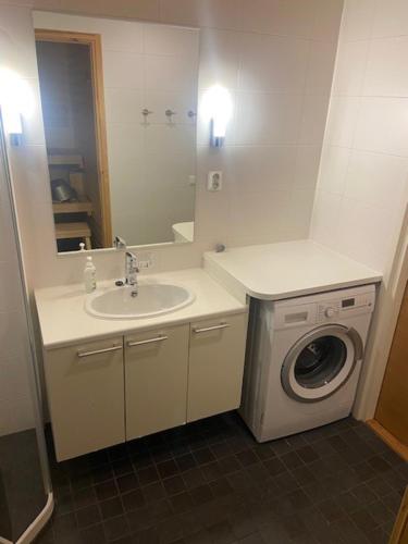 a bathroom with a sink and a washing machine at Ylläs Chalets IX A9104 in Ylläsjärvi