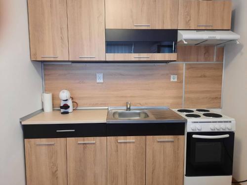 Φωτογραφία από το άλμπουμ του Апартамент Popoff σε Chepelare